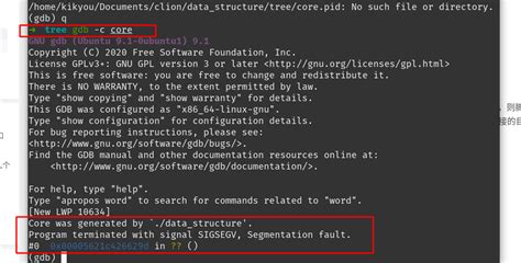 段错误|Segmentation Fault (Core Dumped)：段错误的完美解决方法